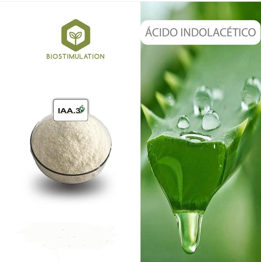 REGULADOR CRECIMIENTO ÁCIDO INDOLACÉTICO AL 98%