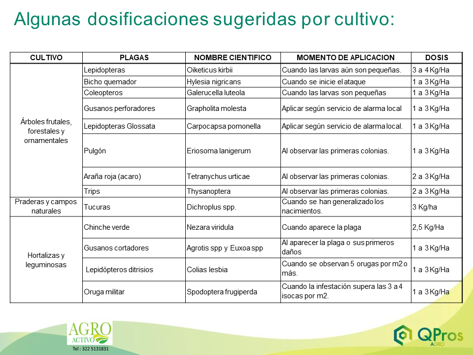 ALGAS NATURALES DIATOMEAS DIATOMIX - 3kg