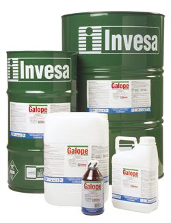 HERBICIDA SELECTIVO GALOPE - 205lts