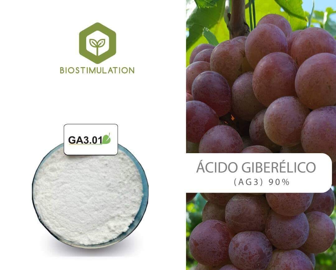 REGULADOR CRECIMIENTO ÁCIDO GIBERÉLICO AL 90%