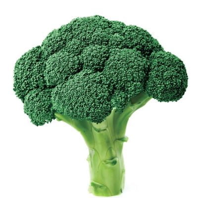 BROCOLI DOMADOR