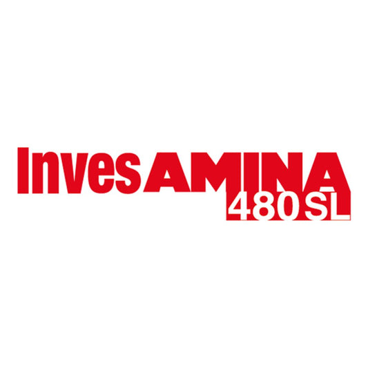 AMINA INVESAMINA 480 SL