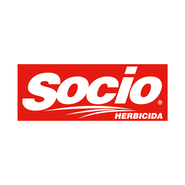 HERBICIDA PICLORAM SOCIO