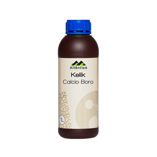 KELIK CALCIO-BORO