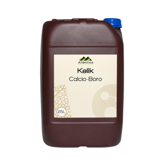 KELIK CALCIO-BORO