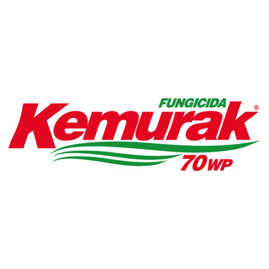 FUNGICIDA QUÍMICO PROPINEB KEMURAK 70 WP