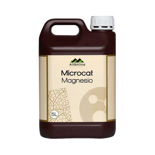 CORRECTOR MICROCAT MAGNESIO