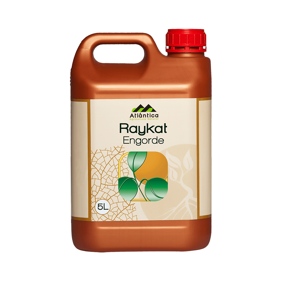 BIOESTIMULANTE RAYKAT ENGORDE