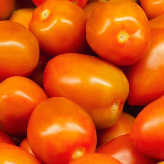 SEMILLA TOMATE TYSON F1