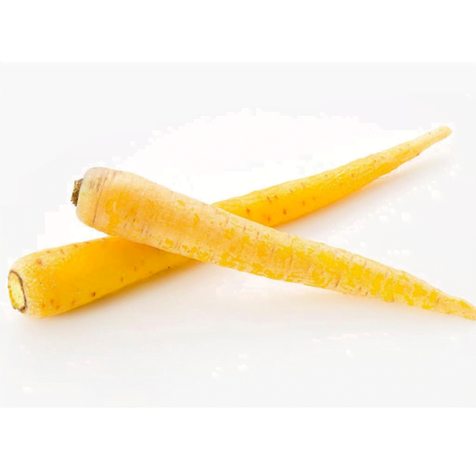 SEMILLA ZANAHORIA GOLD NUGGET F1