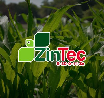 FERTILIZANTE FOLIAR ZINTEC