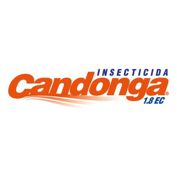 Insecticida candonga