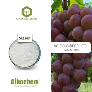 REGULADOR CRECIMIENTO ÁCIDO GIBERÉLICO AL 90%