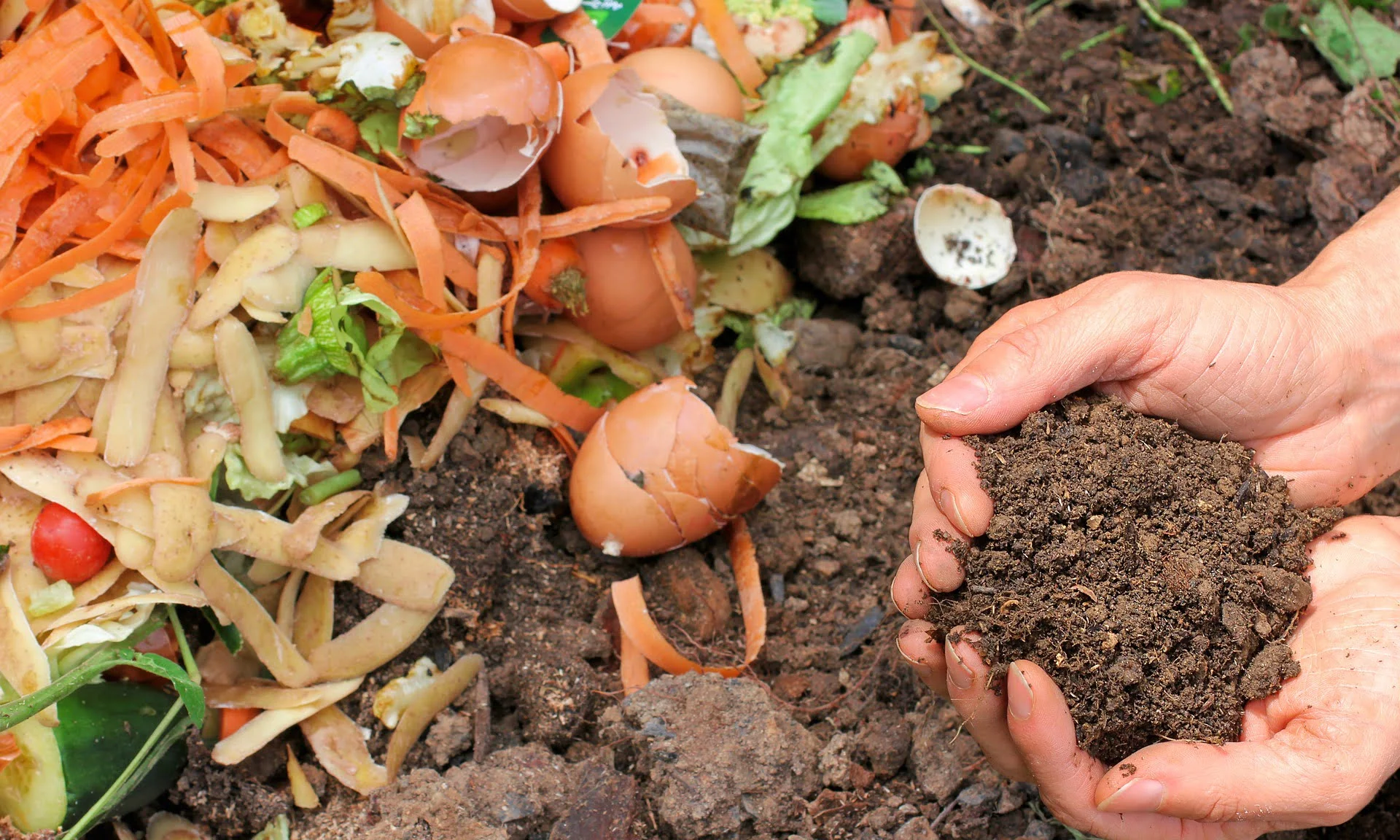 FACTORES QUE INTERVIENEN EN EL PROCESO DE COMPOSTAJE Agroactivo