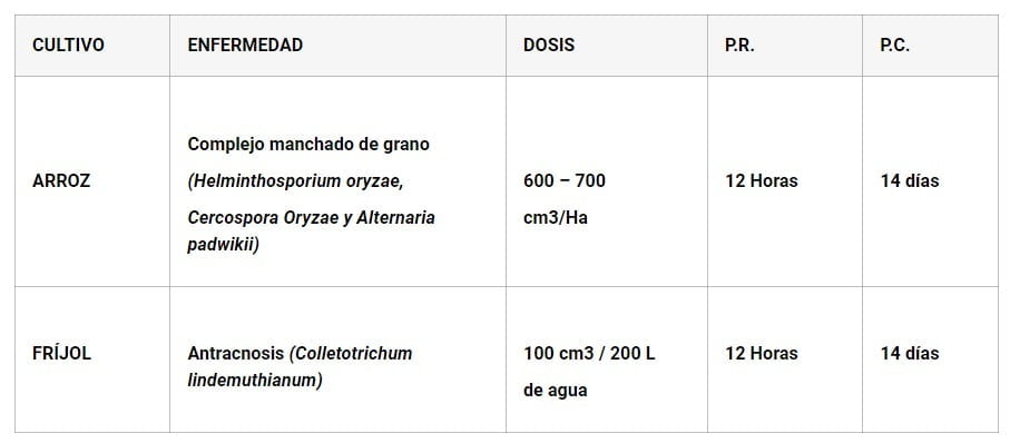 FUNGICIDA SISTÉMICO CARBENDAZIM CIVIS 500 SC