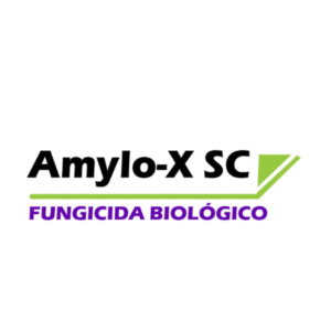 Fungicida Biológico Amylo-X SC