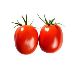 TOMATE TIPO CHONTO DRD 8564